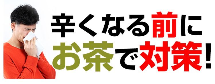 花粉症がつらくなる前にお茶で対策